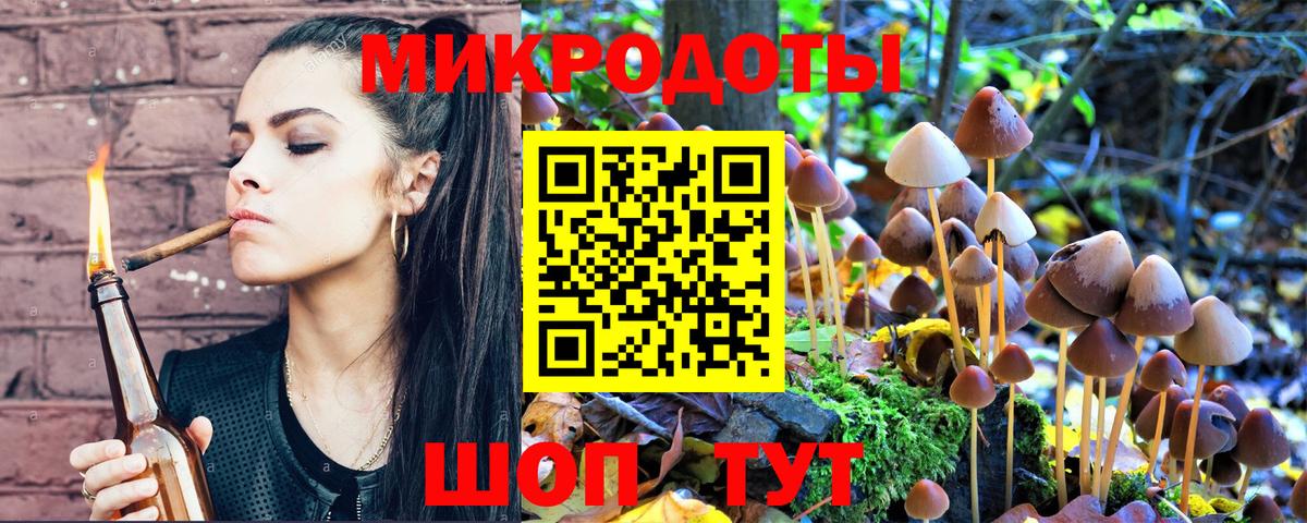 Псилоцибиновые грибы Нурлат