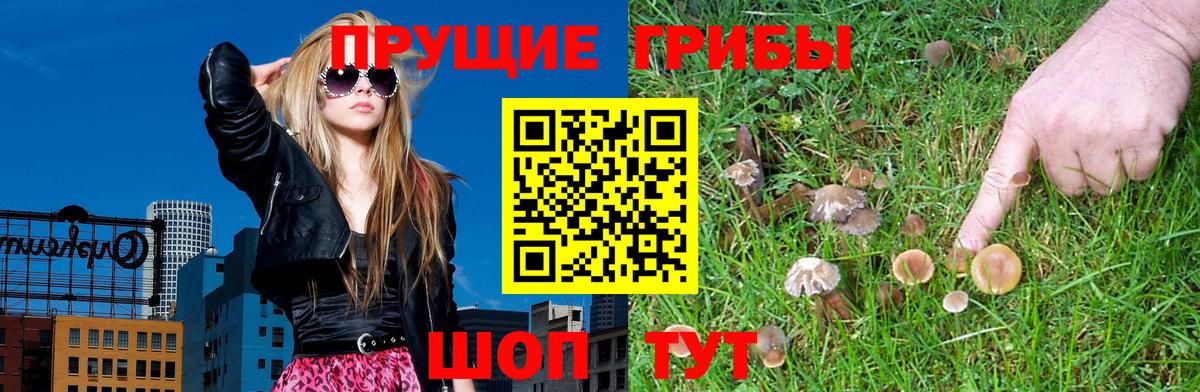 Галлюциногенные грибы MAGIC MUSHROOMS  Псилоцибиновые грибы GOLDEN TEACHER  Нурлат  Вход с VPN 